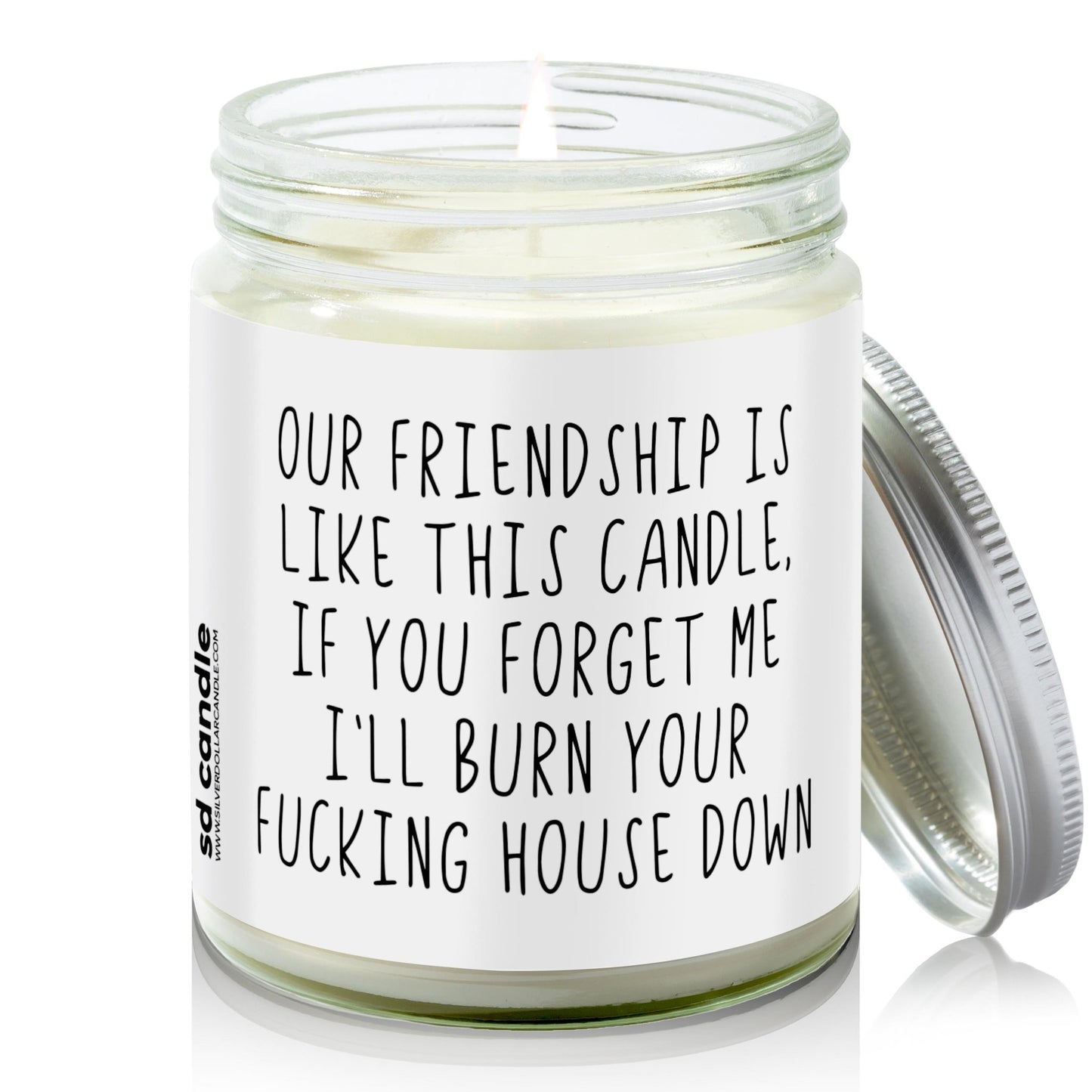 Forgotten Friendship Candle | Sarcastic Scents Candle | Choose Any Scent - Silver Dollar Candle Co all natural soy candle