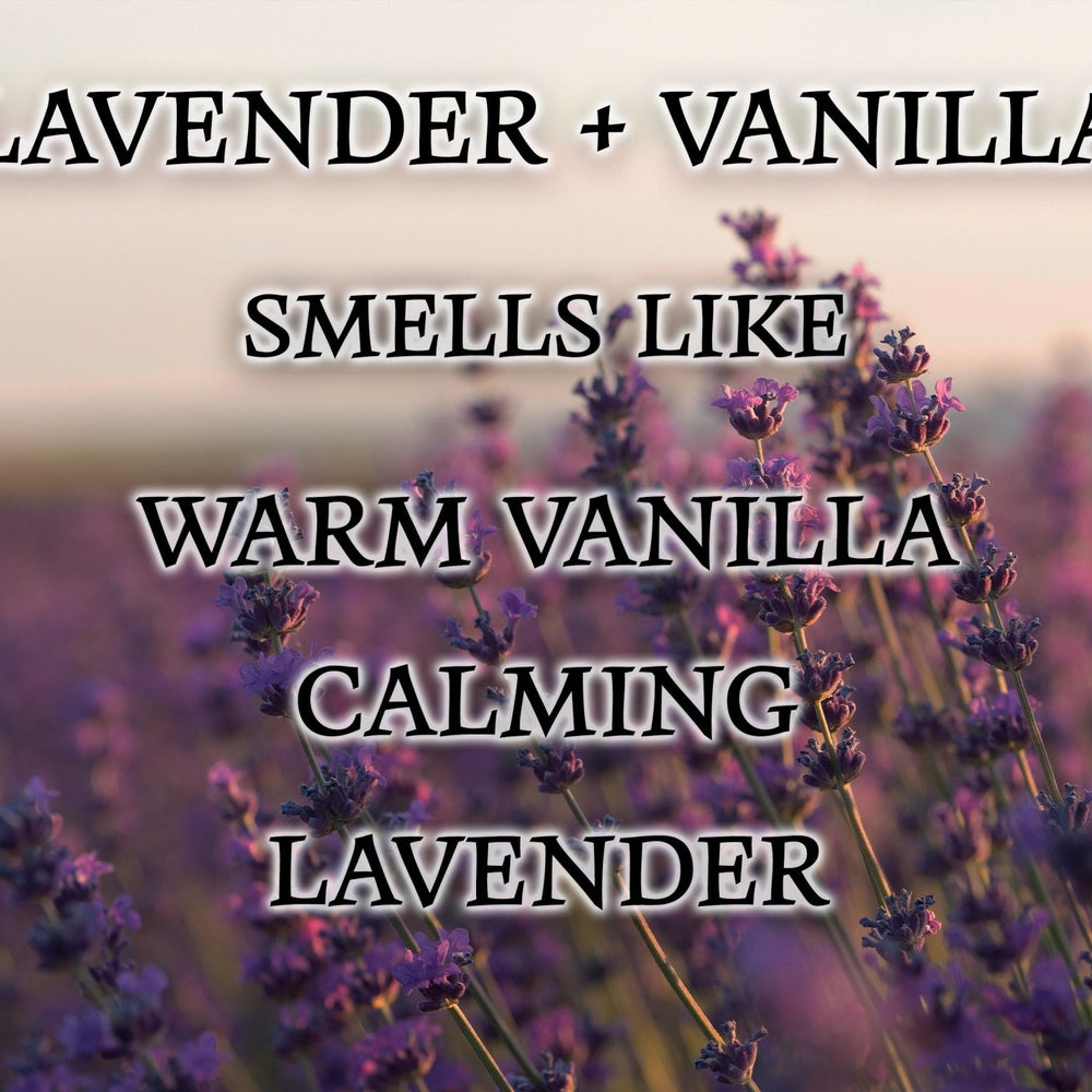 #01 | Lavender & Vanilla Scented Candle - 9/16oz 100% All - Natural Handmade Soy Wax Candle - Silver Dollar Candle Co all natural soy candle