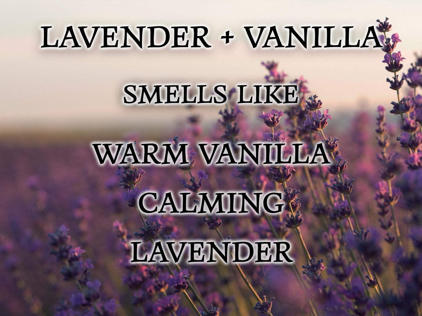 #01 | Lavender & Vanilla Scented Candle - 9/16oz 100% All - Natural Handmade Soy Wax Candle - Silver Dollar Candle Co all natural soy candle