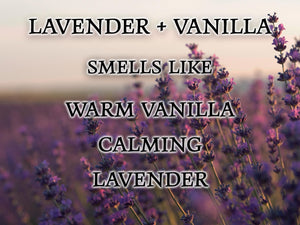 #01 | Lavender & Vanilla Scented Candle - 9/16oz 100% All - Natural Handmade Soy Wax Candle - Silver Dollar Candle Co all natural soy candle