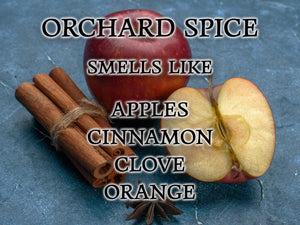 #20 | Orchard Spice Scented Candle - 9/16oz 100% All - Natural Handmade Soy Wax Candle - Silver Dollar Candle Co all natural soy candle