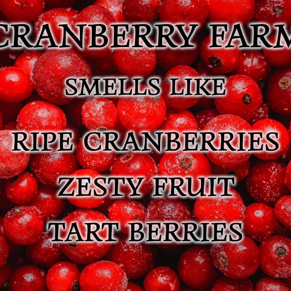 
                  
                    #31 | Cranberry Farm Scented Candle - 9/16oz 100% All - Natural Handmade Soy Wax Candle - Silver Dollar Candle Co all natural soy candle
                  
                