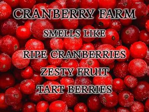 #31 | Cranberry Farm Scented Candle - 9/16oz 100% All - Natural Handmade Soy Wax Candle - Silver Dollar Candle Co all natural soy candle