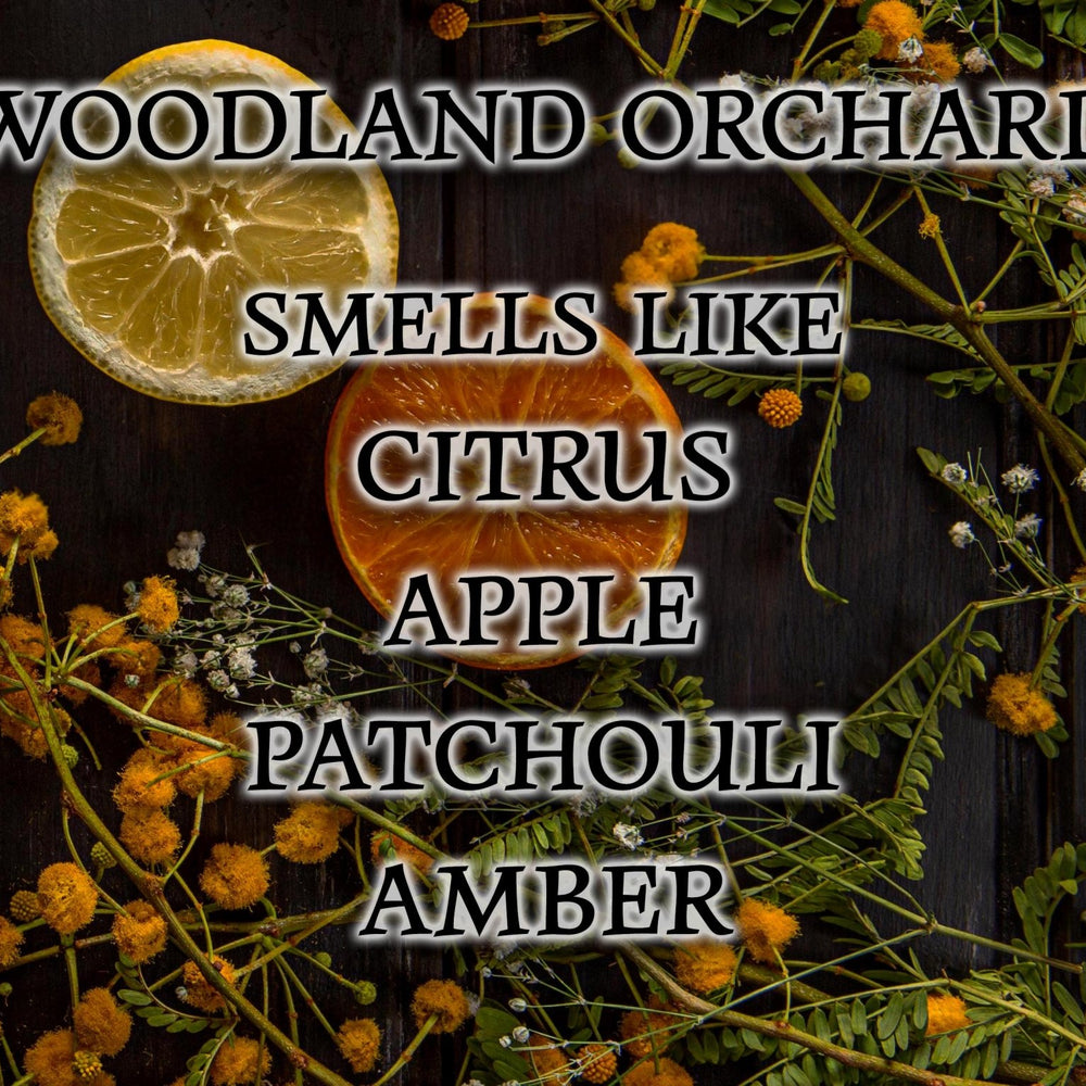 
                  
                    #56 | Woodland Orchard Scented Candle - 9/16oz 100% All - Natural Handmade Soy Wax Candle - Silver Dollar Candle Co all natural soy candle
                  
                