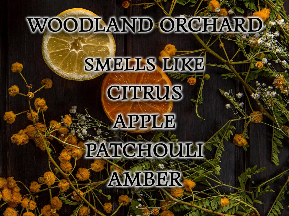 #56 | Woodland Orchard Scented Candle - 9/16oz 100% All - Natural Handmade Soy Wax Candle - Silver Dollar Candle Co all natural soy candle