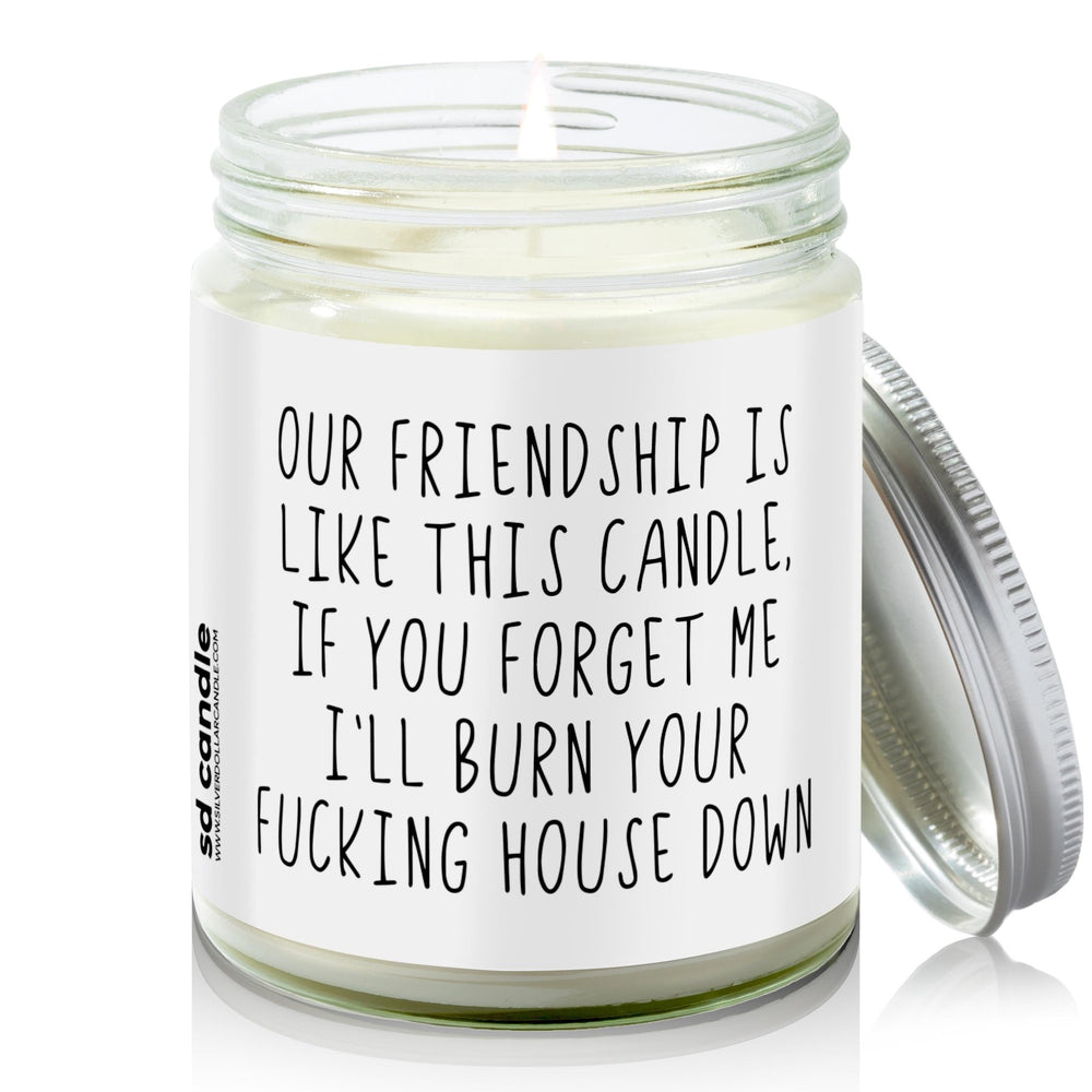 
                  
                    Forgotten Friendship Candle | Sarcastic Scents Candle | Choose Any Scent - Silver Dollar Candle Co all natural soy candle
                  
                