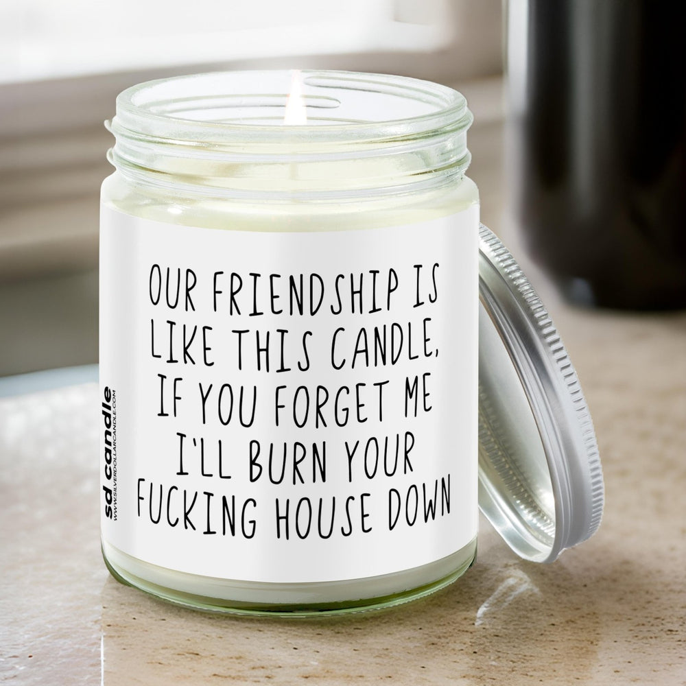 Forgotten Friendship Candle | Sarcastic Scents Candle | Choose Any Scent - Silver Dollar Candle Co all natural soy candle